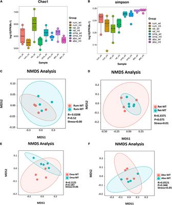 Comparison of Microbial Community and Metabolites in Four Stomach Compartments of Myostatin-Gene-Edited and Non-edited Cattle